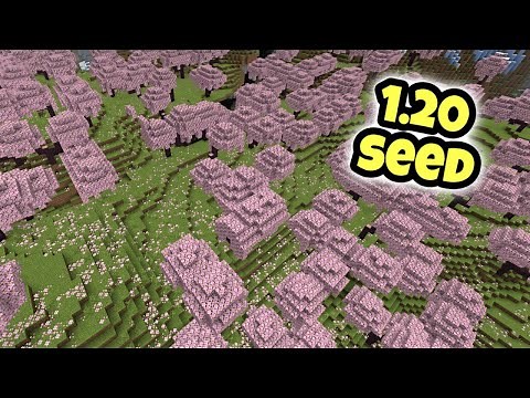 Epic Cherry Blossom Biome Seed In Minecraft 1.20! (Java/Bedrock)