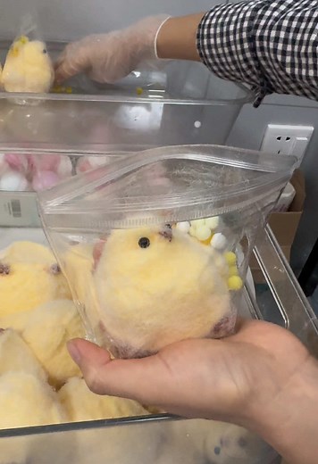 Packing Squishy Chicken: A DIY Decompression Project