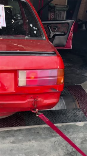 Team Berries Music Collaboration