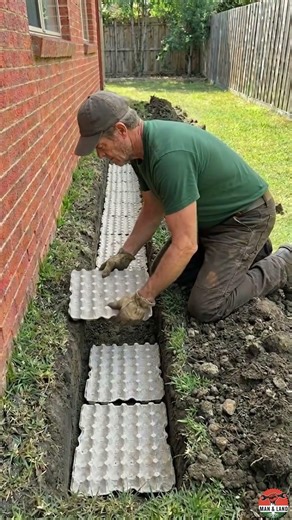 Nobody Expected This Garden Trick 🌷 #garden #gardening #satisfying