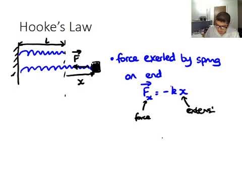 Hooke s Law