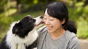 10 Signs That Your Dog Completely Trusts You