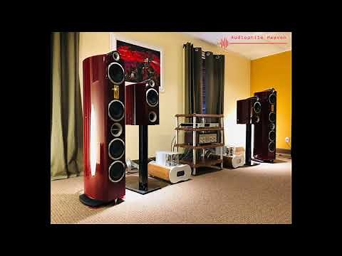 Audiophile master test disk 8- Audiophile heaven- HQ- High fidelity music
