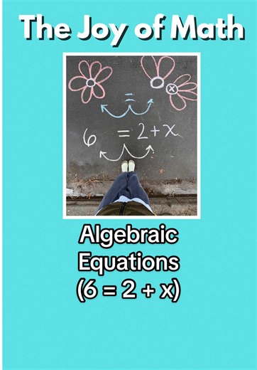 Understanding Algebraic Equations Simply