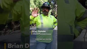 Why burying power lines is an effective, but very expensive way to prevent wildfires #Shorts - The Global Herald