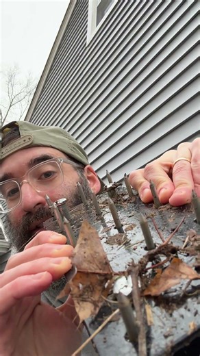 Manual lawn aerator: see how it works!