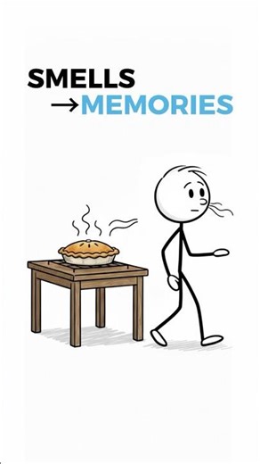 Smells can trigger forgotten memories for a reason