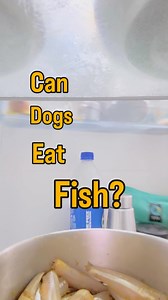 Can dogs eat fish? Yes, they absolutely can!🐟 Fish is a great addition to your dog’s diet, and one of the safest, most nutritious options are sardines and anchovies, also known as Nethili Meen in Tamil. These tiny fish are packed with Omega-3 fatty acids, high-quality protein, and essential vitamins that support your dog’s skin and coat health, joint flexibility, heart function, and even brain development in puppies. What makes anchovies even better for dogs? Their small size and soft bones! Th