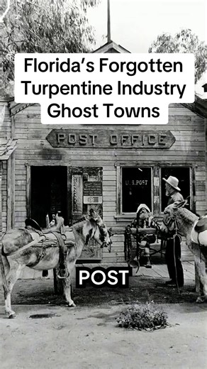Florida’s Forgotten Turpentine Industry Ghost Towns Florida History Florida Ghost Towns Forgotten Florida Hidden Florida Historic Florida Florida Fossils Florida Exploration #ForgottenFlorida #FloridaHistory #LostFlorida #NorthFlorida #GhostTowns
