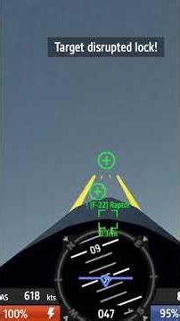 Dogfight with an F-22