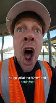 The drawbridge operator saved a husky's life #viral #short #viralshorts