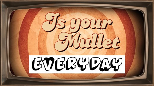 1.5K views · 16 reactions | Ever wondered how we tell our Mullets apart?? Categories here... Register now www.mulletfest.com.au/register #mulletfestontour #mulletfest | Mulletfest | Facebook