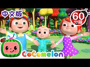 🐒动物舞蹈歌🐒 | 大合集 | 儿童学习 | 儿歌童谣 | 英文ABC和123 | CoComelon 中文