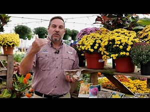 Get It Growing: Fall is the time to plant your bulbs