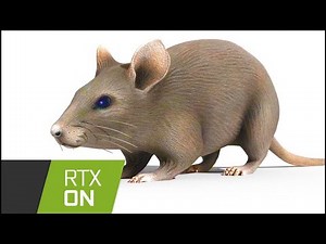 The Horizontally Spinning Rat