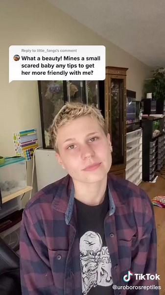 Taming Tegus: Tips and Tricks for a Happy Reptile Relationship