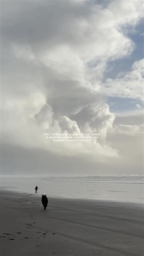 natalie | holistic nutrition + strength coach on Instagram: "your body’s operating system is old — like, hunter-gatherer old. it was designed to scan the horizon, rise with the sun, move throughout the day, and wind down with the sunset. when we stay indoors under artificial light, barely moving, our nervous system can’t tell if we’re safe or just hiding. this is why morning sunlight, daily walks, and getting outside regularly aren’t just “nice” — they’re necessary. they reset your internal cloc