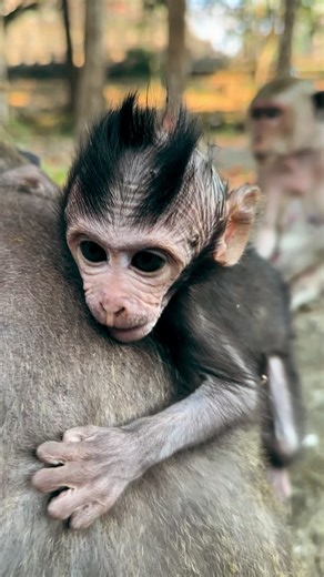 Nature at peace! 💫💫