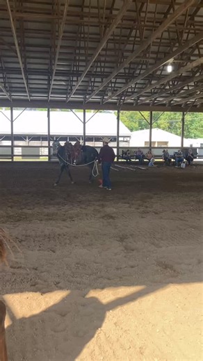 Yukon demonstrating softness in groundwork #mules #goodmules #lostmuleco #muletraining #makeyourmuleawinner #bridlemuleinthemaking | Lost Mule Co.