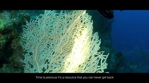 CITIZEN’s iconic Professional Diver watch boasted the highest depth rating in the world back in 1982, with pressure resistance up to an incredible 1,300 meters. The lug-free case silhouette, the four bezel guards, and the large indentations on the rotating bezel gave the watch a bold, distinctive look. The rounded, chunky shape of the case combines with the striking indentations on the bezel to create a tough, sporty look. #CitizenWatch #EcoDrive #ClassicStyle #menswatches #promaster #satellitew