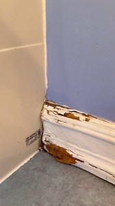 16K views · 646 reactions | Baseboard cleaning how-to ✨珞  (too bad I actually cleaned this prior to filming lol they were dusttttyy) #humor #cleaning #clean #cleaninghack #cleaningmotivation #bathroom #housekeeper #funny #monday #mood #truth | Takes a Village Cleaning | Facebook