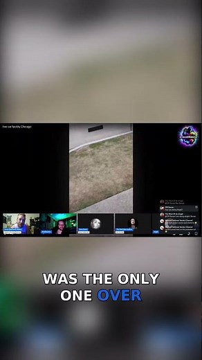 Why Do People Act Like Animals?