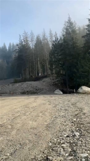 REPORT: Sasquatch spotted roaming with an unrecognized creature. Channeling our inner Sherlock ... get those headlines primed, because this is big news. | Jack Link's Beef Jerky