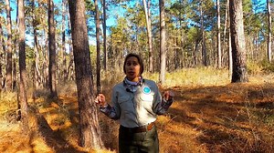 21 reactions | Ranger John has been working on a self guided...