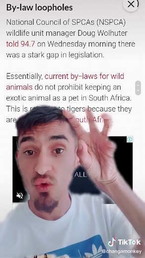 Tigers in Africa: A Look at White Bengal Cubs