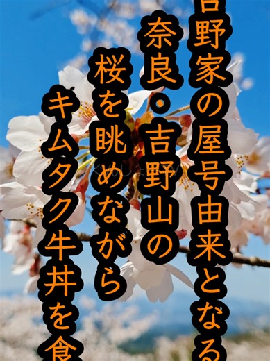 吉野家 キムタク牛丼を奈良·吉野山の奥千本で食しながら桜を愛でる！ ～ 会社名の由来 #吉野家 #牛丼 #キムタク #吉野山 #木村拓哉