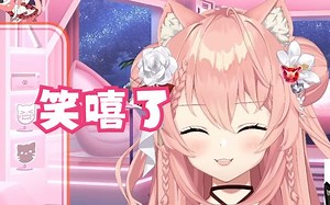 【Hiiro】路人触发了反诈机制 激烈对线，猫猫在一旁傻笑