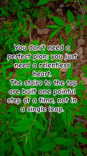 Day 15: The Architecture of Persistence #motivation #discipline #quotes