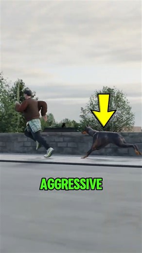 How to Escape an Aggressive Dog (Most People Do This Wrong!) #shorts