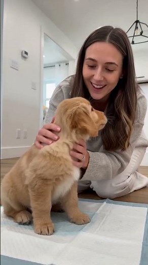 50-Pack Puppy Training Pads with Leak-Proof Base for House Training
