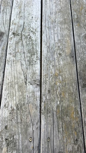 The AD22 has been brought from our custom lineup to production. Newly added to the 2026 product release, this model features a MagnaCut steel blade, and will be available in G10, Titanium or Camo Carbon. The AD22 will also feature our newly designed deep carry ambidextrous pocket clip. #newmodel #performance #usamade