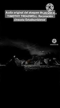 Audio original del ataque de un Oso a TIMOTHY TREADWELL. Reconocido cineasta estadounidense