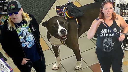 3.3M views · 34K reactions | The Pitbull Pouch Packing Pair | Gas Station Encounters | Facebook