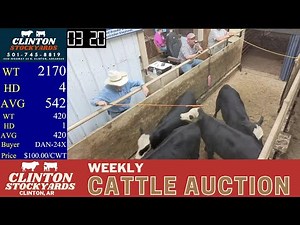 10/18/2025 - Cattle Auction - Clinton Stockyards