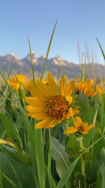 Camping essentials, hidden Oregon gems and sunrise views in the Tetons