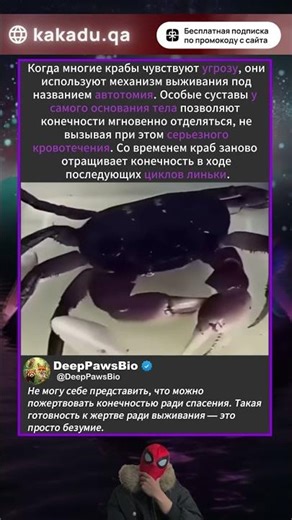 Как крабы жертвуют конечностями ради выживания