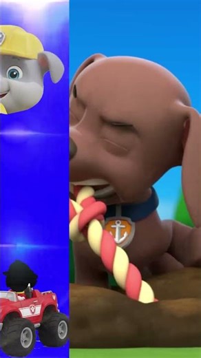 Wrong eyes👀 Paw Patrol Family Friendly Full Episodes! Chase -DAME TU COSITA Funny Wrong Heads