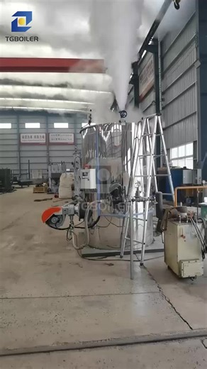 TGBOILER 1 ton vertical oil-fired gas-fired steam boiler, tested and running well. Ready to be shipped to Chile!#boiler #boilermanufacturing #TGBOILER #gassteamboiler #washingboiler #textileboilers #OILBOILER #foodindustryboiler #industrywashingmachine #LPGtanks