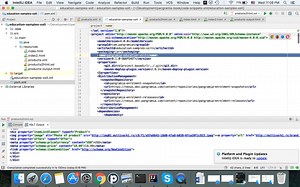 XML, XSLT, SSI, Custom Nginx (Alpine), Docker