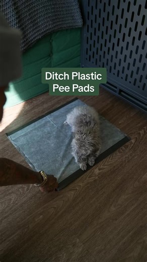 freshpatch on TikTok