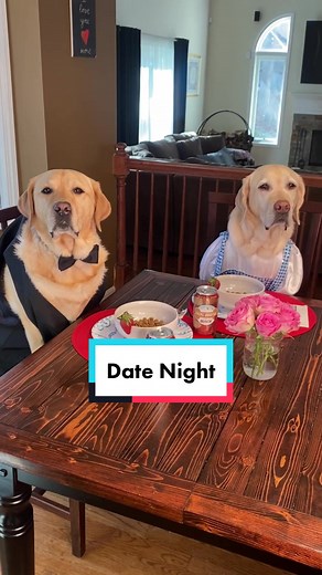 What would your dog do a date? ❤️ What scenarios should we do next? 😂