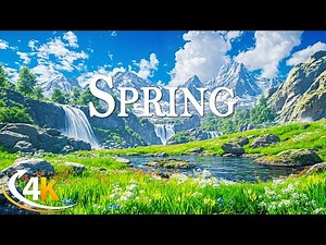 A Journey Through Spring Life in Switzerland 🌿 Stunning 4K Views of the Swiss Alps
