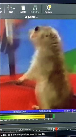 Dramatic Chipmunk (Normal, Slow, Fast, and Reversed)