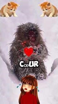 Une méthode efficace pour construire des canaux de drainage #innovation #lesaviezvous #incroyable