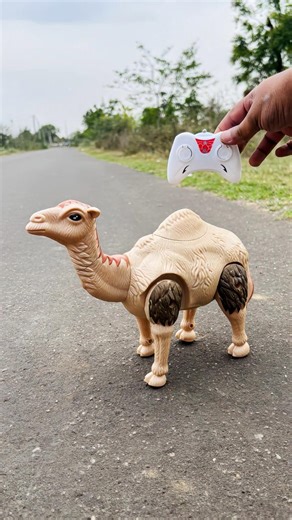 RC Camel (Unt) Toy Remote Control Unboxing & Test 🔥😱