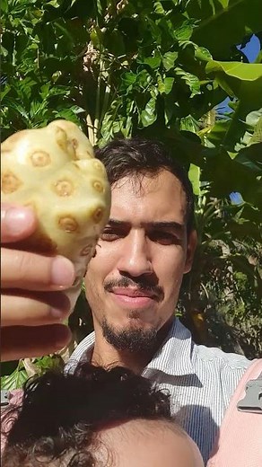 Noni: What is it for and how to consume this powerful fruit?